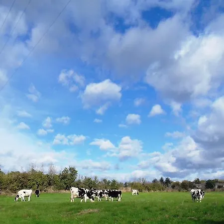 ゲストハウス Retiro Terrasol Tó