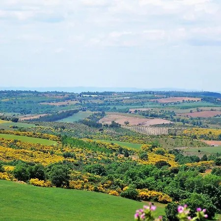ゲストハウス Retiro Terrasol Tó