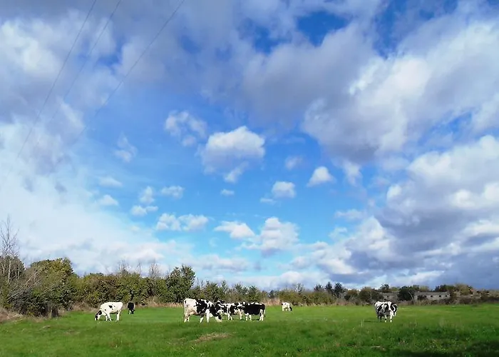 בית הארחה Retiro Terrasol Tó