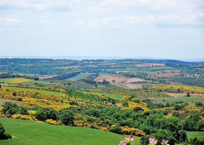 Pensionat Retiro Terrasol Tó